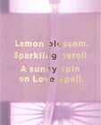 Victoria's Secret Love Spell SOL Fragrance Mist - 8.4 fl oz