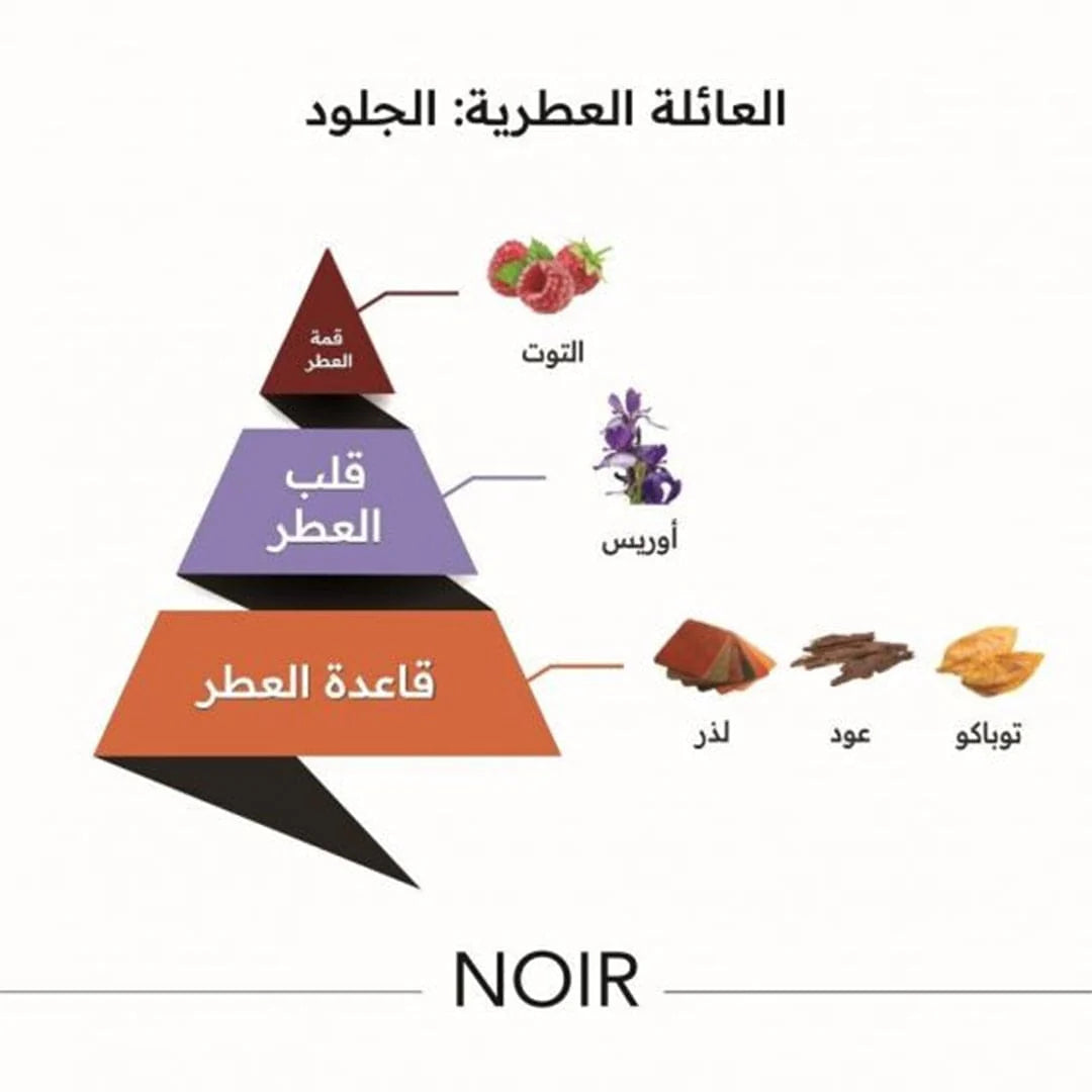 Al-Majed Oud Noir All Over Spray - 100ml
